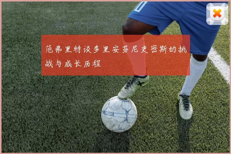 范弗里特谈多里安芬尼史密斯的挑战与成长历程