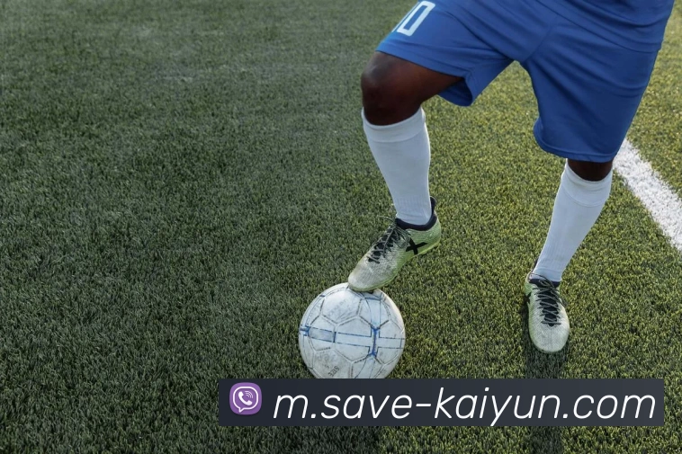 开云体育平台生态图