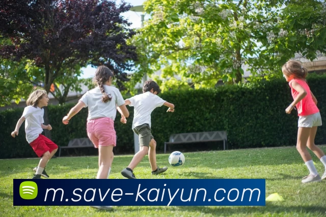 开云体育APP 封面图